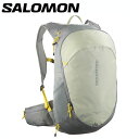 【期間限定ポイント最大20倍(2025/5/27 11:59迄)】 サロモン TRAILBLAZER 20 LC2462800