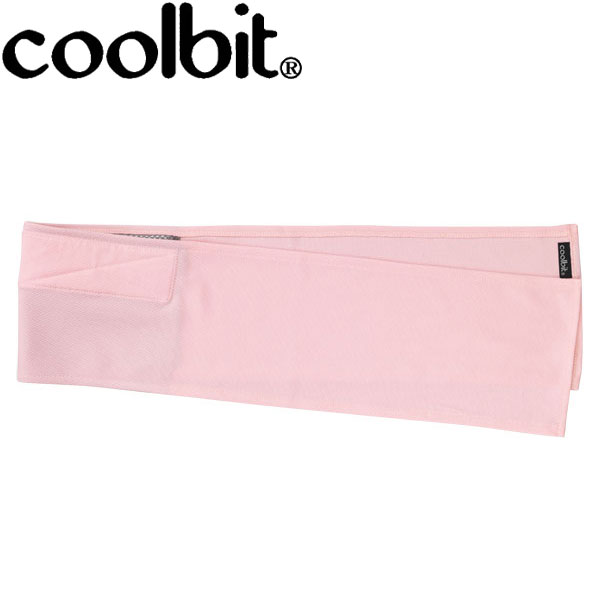 ڥ֥åե饤ǡŹݥȺ20(11/27 1:59 ᡼̵ ӥå ޥե顼 HCTSP3-PNK