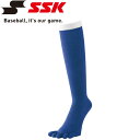 メール便送料無料 エスエスケイ SSK 野球 5本指カラーソックス 裏補強 メンズ YA1501-63