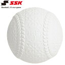 【お買い物マラソン限定店内ポイント最大20倍(5/16 1:59迄)】エスエスケイ 野球 TECHNICAL PITCH 軟式J号球 テクニカルピッチ軟式J号球...