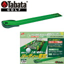 タバタ ゴルフ グリーンパターマット ライン入り 2.45+ ナビ GV-0127