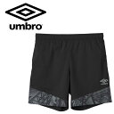 【お買い物マラソン限定店内ポイント最大20倍(5/16 1:59迄)】お買い得スペシャルプライス メール便送料無料 アンブロ umbro サッカ- 【THE T...