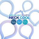 ネッククーラー ネッククール NECK COOL PCM クーラー アイス 冷却グッズ 冷感グッズ 冷感リング 熱中症対策 暑さ対策 ネックリング 軽量