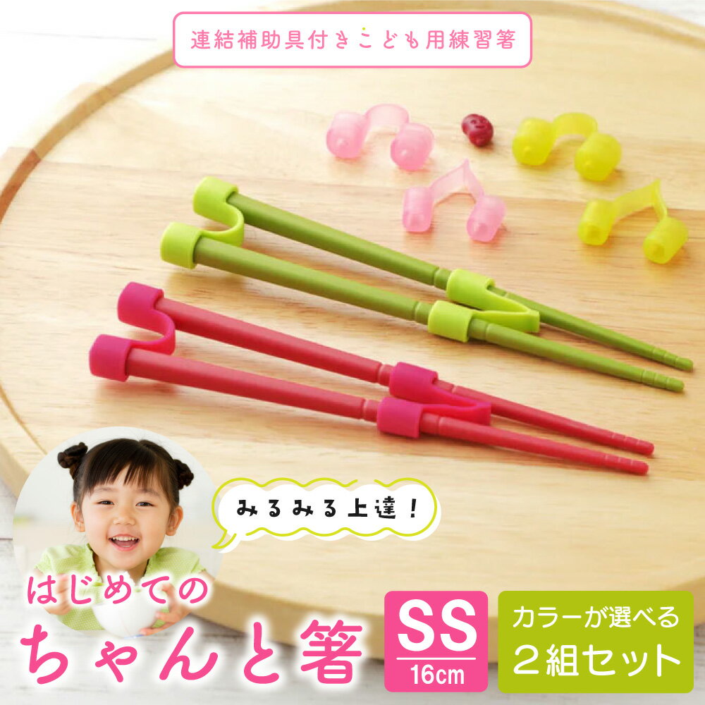 はじめてのちゃんと箸 SS カラーが選べる2組セット 16cm トレーニング箸 しつけ箸 子供 持ち方 矯正