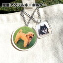 アクリルキーホルダー 丸 四角 10個セット / 30個セット / 60個セット オリジナルグッズ 簡単 景品 国産 日本製 写真 フォト プレゼント ギフト ...