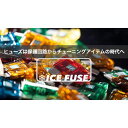 ICE FUSE ICE FUSE FULL KIT BK57202 アイスフューズ その他電装パーツ バイク CYGNUSX 3型
