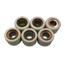 Grondement スーパーウエイトローラー 20×15mm 9.0g(6個入) WTS-3009 グロンドマン プーリー関連パーツ バイク