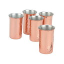 syokurakukoubou 純銅鎚目一口ビール5PCセット CNE928 食楽工房 日用品 日用品