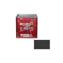 asahipen 油性スーパーコート 10L(銀黒) AP9011899 アサヒペン 日用品 日用品