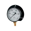 kakudai 649-874-04D蒸気用圧力計(Bタイプ) 649-874-04D カクダイ 日用品 日用品(3)