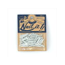 WAKAI SANGYOU NAILIT釘#17×19 100本袋入りホワイト NF10010 若井産業 日用品 日用品