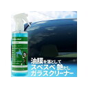 excelcoat ガラスクリーナー250mlセット エクセルコート 洗車・メンテナンス 車 自動車