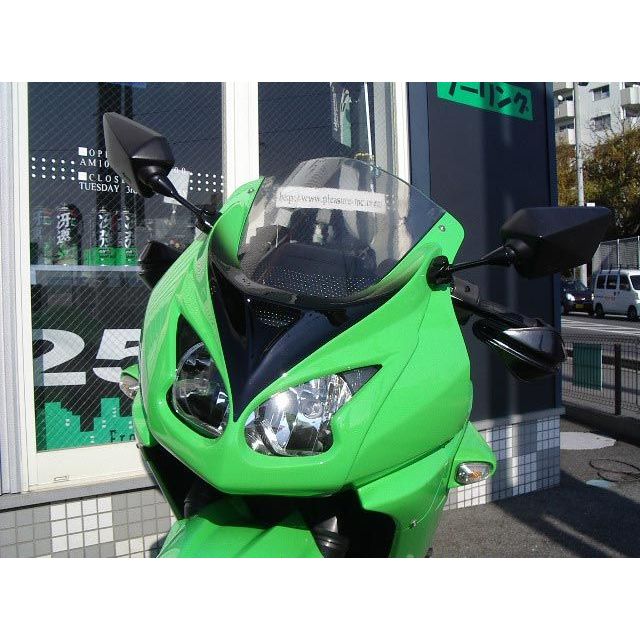 楽天パークアップ 楽天市場店プレジャー Ninja250R フェイスパネル 仕様：Type2 PK31802 PLEASURE カウル・エアロ バイク ニンジャ250R