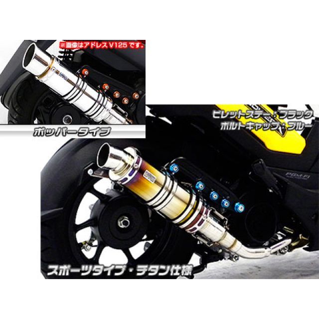 WirusWin ズーマーX用 アニバーサリーマフラー ポッパータイプ チタン仕様 ビレットステー ブラック ボルトキャップ シルバー オプション なし ウイルズウィン マフラー本体 バイク ズーマーX