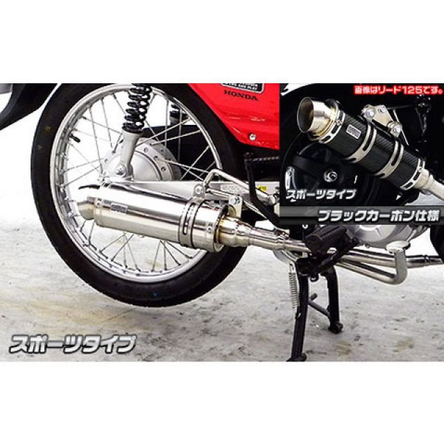 WirusWin クロスカブ（JA10）用 ロイヤルマフラー スポーツタイプ オプション オプションC ウイルズウィン マフラー本体 バイク クロスカブ