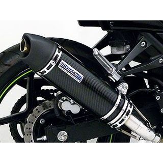 WirusWin Ninja250R用スリップオンマフラー ユーロタイプ【JMCA認証】 サイレンサー ブラックカーボン仕様 ウイルズウィン マフラー本体 バイク Ninja250R