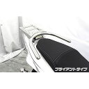 WirusWin PCX(JF56)用 リアボックス用ベースブラケット付きタンデムバー タイプ ブライアントタイプ ウイルズウィン タンデム用品 バイク PCX(2)