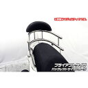 WirusWin Z1 125用 バックホールドタンデムバー タイプ ブライアントタイプ バックレストサイズ ラージ ウイルズウィン タンデム用品 バイク Z1 125
