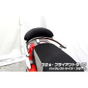 WirusWin Z1 125用 バックレスト付き 32φタンデムバー タイプ ブライアントタイプ バックレストサイズ スモール ウイルズウィン タンデム用品 バイク Z1 125