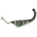 Ki^A[ APRILIA RS4 50 11 EXHAUST FOR SILENCER b 51103SU arr_51103SU ARROW }t[{ oCN