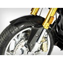 Wunderlich カーボンフロントフェンダー(カーボン) W45202-300 ワンダーリッヒ フェンダー バイク R1250R R1250RS