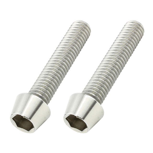 POSH Faith テーパーキャップボルト 2本入 M6×30mm/P-1.0（ステンレス） ・900630-T2 メーカー在庫あり ポッシュフェイス その他外装関連パーツ バイク