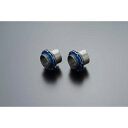 ADVANTAGE SHOWA RS/RS-γ用リヤーショック削り出しイニシャルアジャスター(左右セット) 621-0338-RL アドバンテージショーワ イニ...