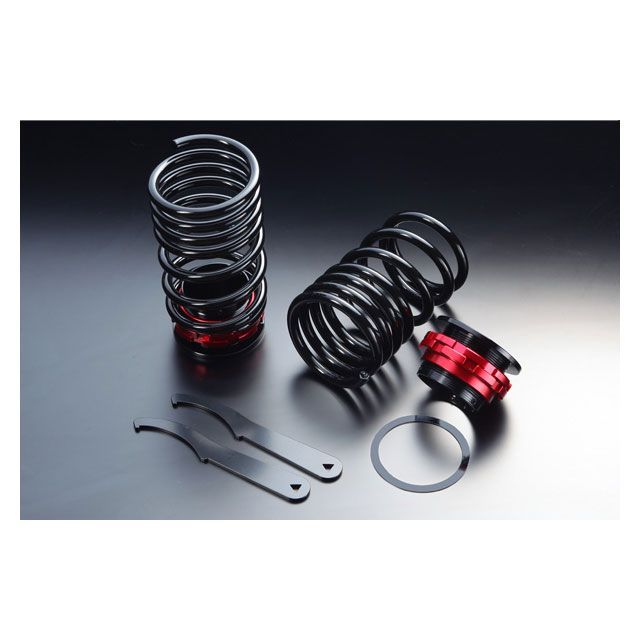 Spiegel シュピーゲル リア車高調キット スズキ Kei HN11S/HN12S/HN21S 2WD/4WD装着可 RKS6-02 シュピーゲル サスペンション