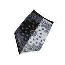 RIDEZ Bandana EarsLoops TBE1074 PAISELY1 TBE1074 メーカー在庫あり ライズ ヘッドギア バイク