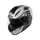 WINS G-FORCE SS MONSTER type C(09グロッシーホワイト) サイズ XL JAN_4560385760631 ウインズヘルメット フ...