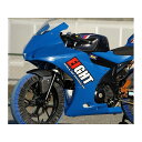 Saitaniya Factory フルカウル/レース/バフ済み/青ゲル ES9GX12FCR-BL2 才谷屋ファクトリー カウル・エアロ バイク GSX-R125/150
