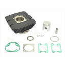 ATHENA Cylinder Kit A-006800 アテナ ボアアップキット バイク RDMXMKII50(MARCE) DTMX50