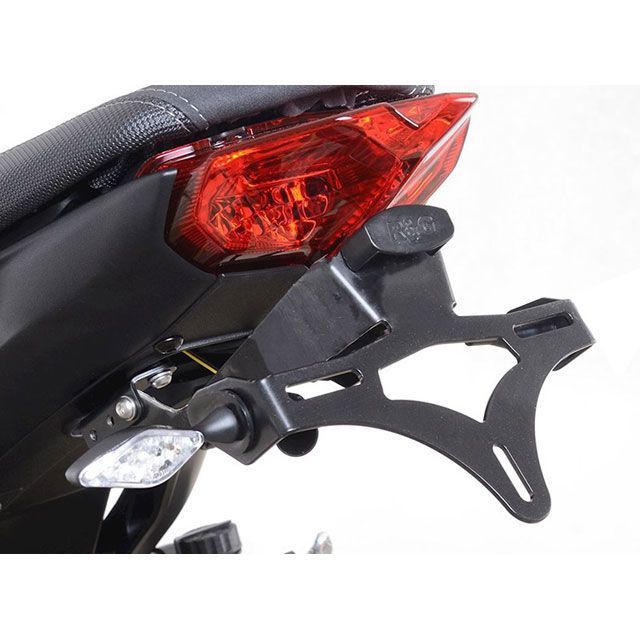 R&G フェンダーレスキット（ブラック） RG-LP0310BK アールアンドジー フェンダー MT-09/SP