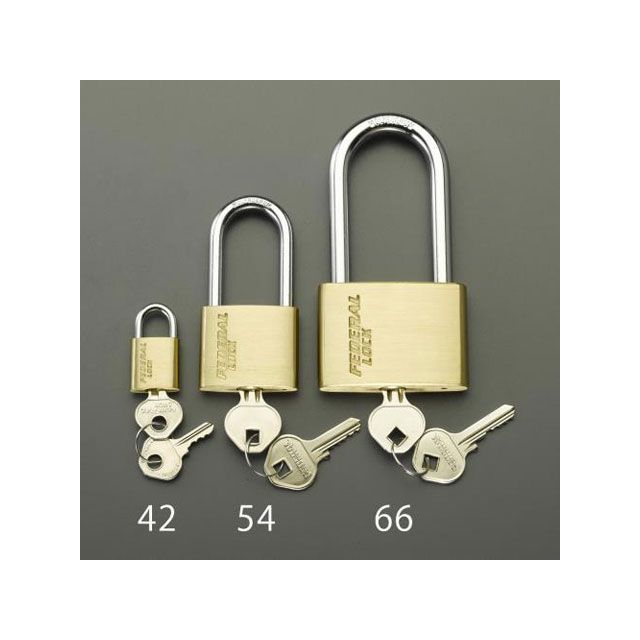 ESCO 30mm シリンダー南京錠（40mm吊長/同一キー） EA983SG-53 エスコ ハンドツール バイク 車 自動車 自転車