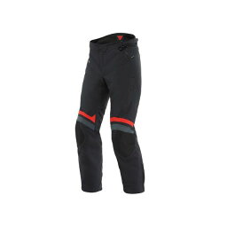 正規品／ダイネーゼ CARVE MASTER 3 GORE-TEX（R） PANTS（B78） サイズ：46 1614081 Dainese パンツ バイク