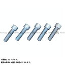 S&S アレンヘッドボルト 3/8-16×1-3/8 ユニクローム 5個セット ・013022 エス&エス その他エンジン関連パーツ バイク