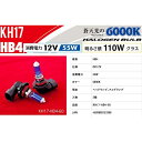 正規品／バレンティ ハロゲンバルブ HB4 6000K KH17-HB4-60 Valenti ライト・ランプ 車 自動車