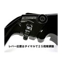 正規品／アコサット クラッチレバー B22H カラー：グリーン ESB22HG ACCOSSATO レバー バイク S1000R S1000RR