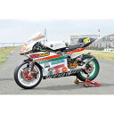 T2Racing フルカウル TYPE-1(復刻) レースタイプ FRP スクリーン スクリーンタイプ1 アッパーカウルステー フルチタンセット サイドスタンド...
