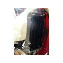 MECA’SYSTEM radiator guard hoops GASGAS EC 250/300 + GP 2 tps AM 2018-2019 meca_...