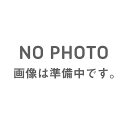 正規品／テルミニョーニ Complete System Stainless Steel Ducati Panigale 950 V2 ＼ Street Fighter V2 ter_D22009400INC TERMIGNONI その他 バイク ストリ…