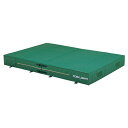 TOEI LIGHT G1547A 200×300×50cm(F) G1547A トーエイライト スポーツ キャンプ