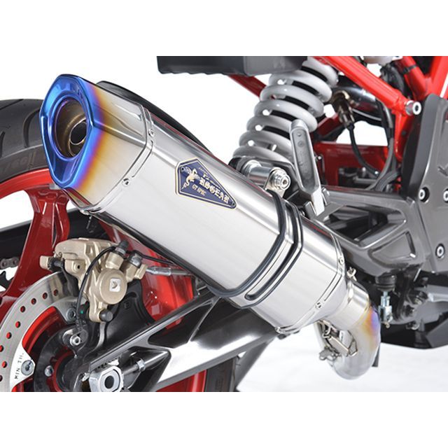 R’s GEAR GTSPEC FullEx（チタンポリッシュ） GB24-T1ST アールズギア マフラー本体 バイク G310GS G310 R