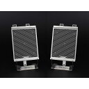 ETCHING FACTORY R1300GS/GSA(24〜)用ラジエターコアガード カラー 青エンブレム RGB-R1300GS-00-bu エッチングファ...