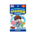kenyuu KハイポットII 2個入 K2HP2-100 メーカー在庫あり ケンユー 緊急・応急用品 車 自動車