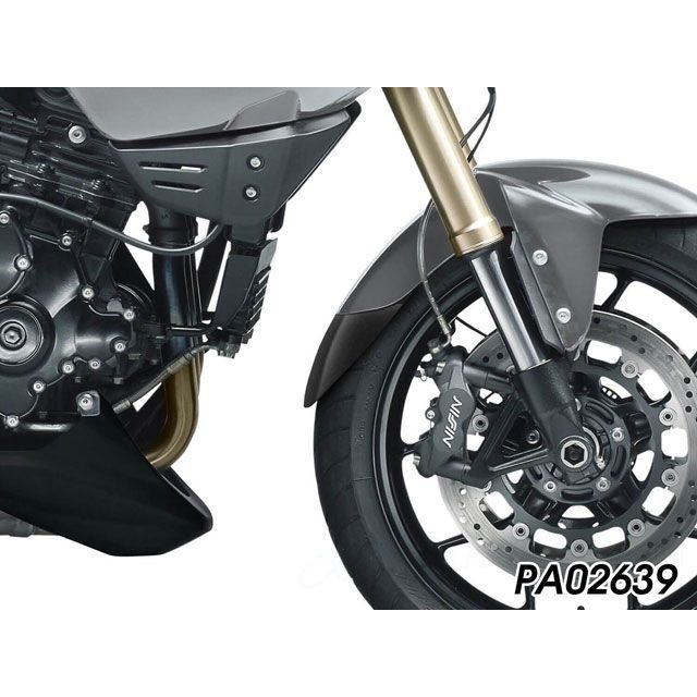 パイツマイヤー Extender Fender/エクステンダーフェンダー Triumph PA02639 Peitzmeier フェンダー バイク スピードトリプル タイガー