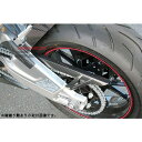 SPEEDRA チェーンガード ドライカーボン カラー 平織り艶消し CBM0608PM SPEEDRA チェーン関連パーツ バイク S1000R S1000RR