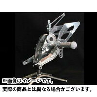 ディライト モンスター796 オンライン ステップ 4ポジションステップ