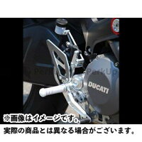 ディライト モンスター796 オンライン ステップ 4ポジションステップ
