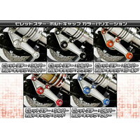 ビレットステー・ボルトキャップカラーバリエーション